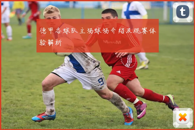 德甲各球队主场球场介绍及观赛体验解析