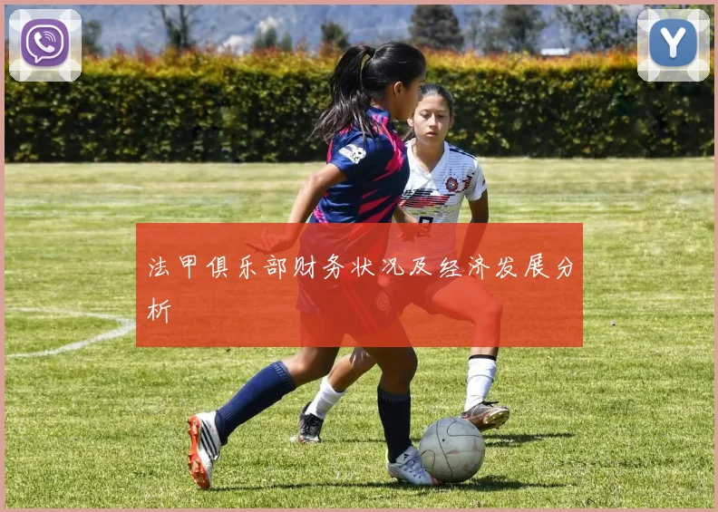 法甲俱乐部财务状况及经济发展分析