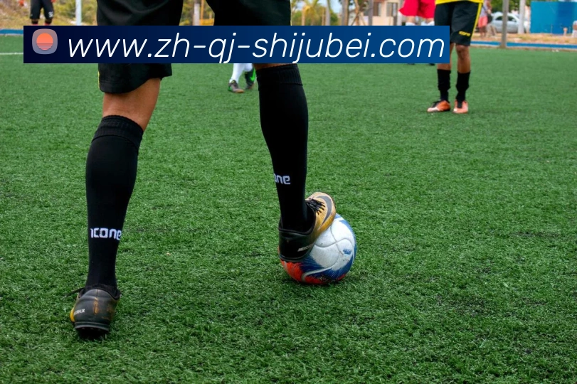 法甲赛季目标制定流程揭秘:管理层与教练组协商机制